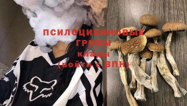 марки lsd Куйбышев